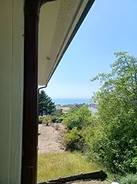 A view from a building's corner shows a bright, sunny day with clear blue skies. Green shrubs and trees are in the foreground, while distant houses and additional greenery lead your gaze to the expanse of Shelter Cove shimmering on the horizon.