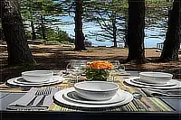 Outdoor dining table set with dishes and flowers among coastal trees.