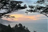 Sunset over the Pacific Ocean framed by coastal tree branches.