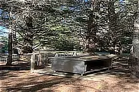 Outdoor seating area with a wooden bench among tall trees.