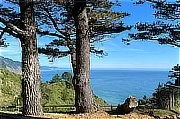 Pacific Ocean visible between tall coastal trees.