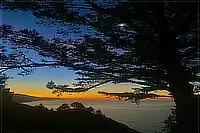 Sunset over the ocean beneath the silhouette of a large tree.