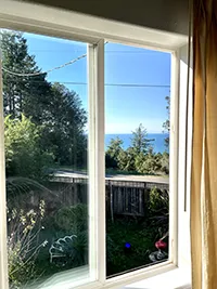 A bright, sunlit view through a window at a charming Air BnB in Humboldt reveals a beautiful outdoor scene with tall trees, a wooden fence, and glimpses of clear blue sky and distant water. A yellow curtain partially frames the right side of the window.