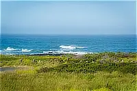 Pacific Ocean coastline with waves breaking along the rocky shore and green coastal vegetation.
